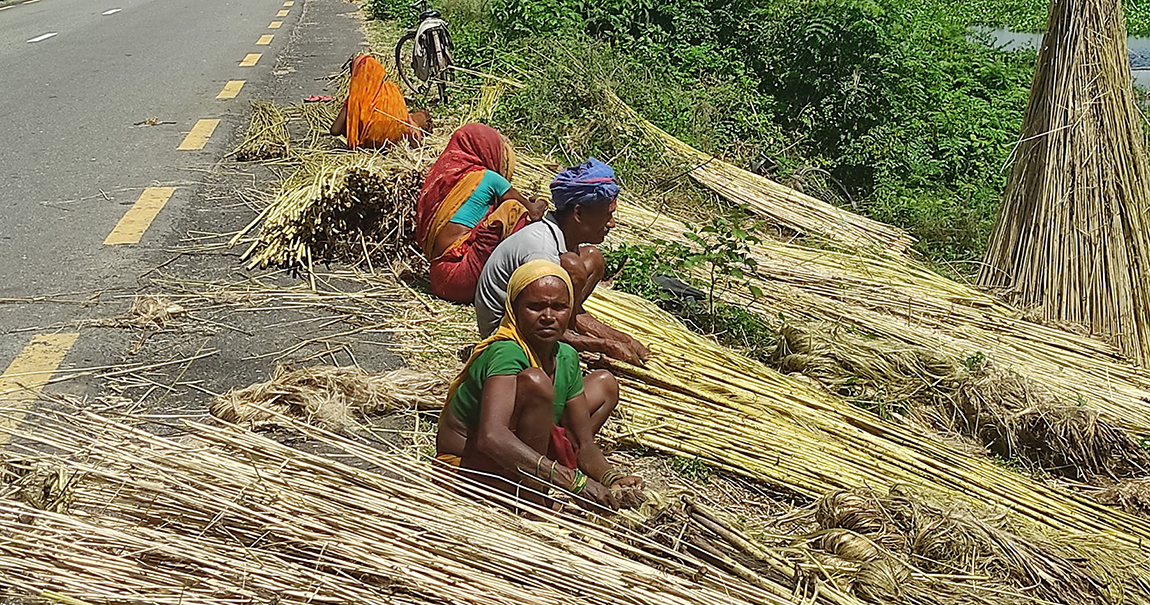 आजका तस्बिर- भदौ २०