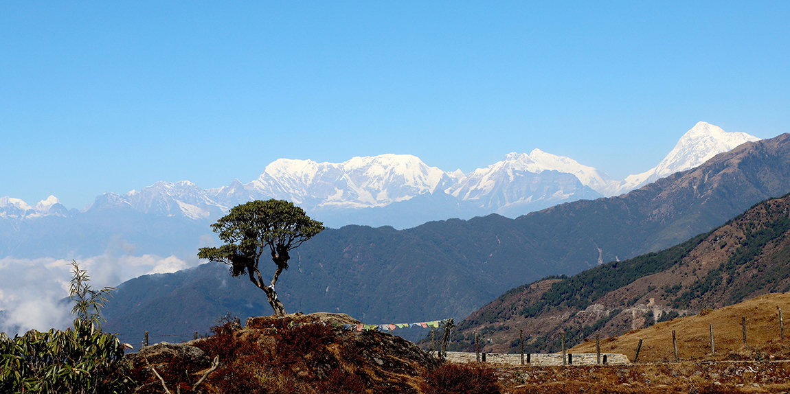 आजका तस्बिर- पुस ६