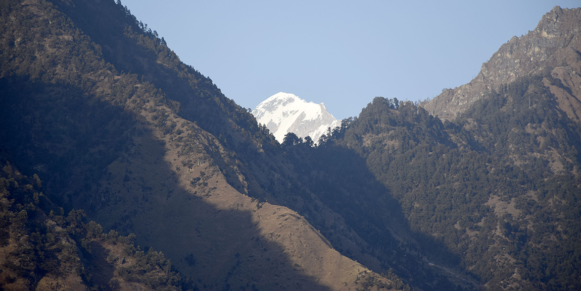 आजका तस्बिर- पुस १