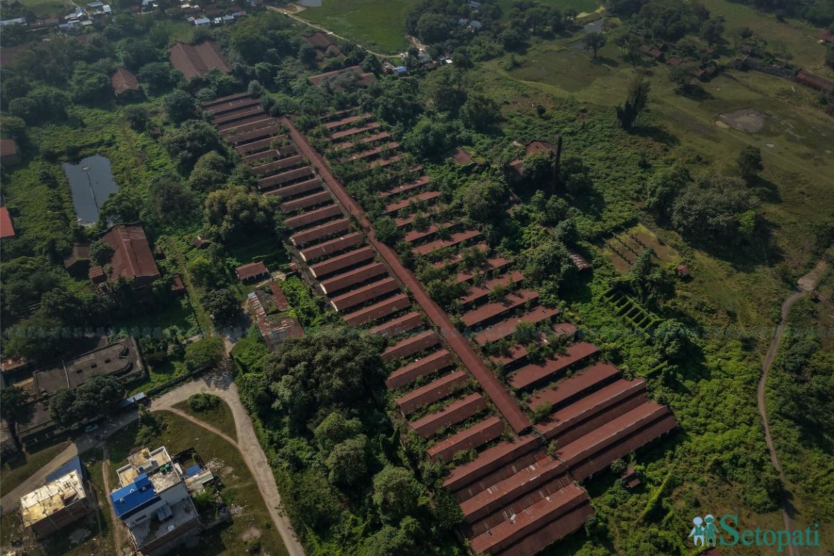 फाइल तस्बिर।