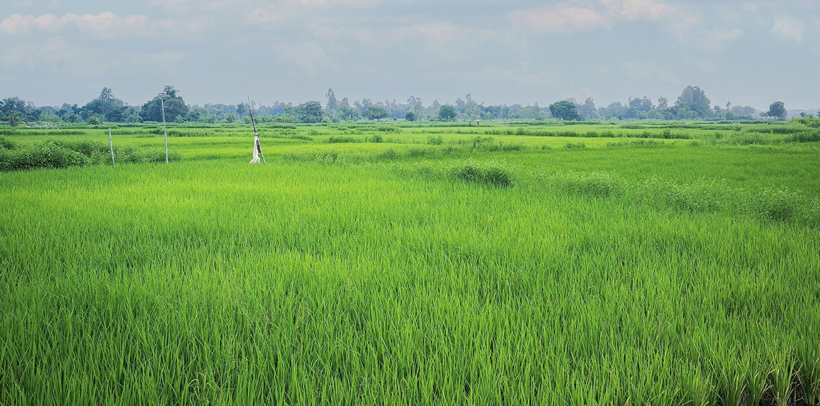 आजका तस्बिर- भदौ १९