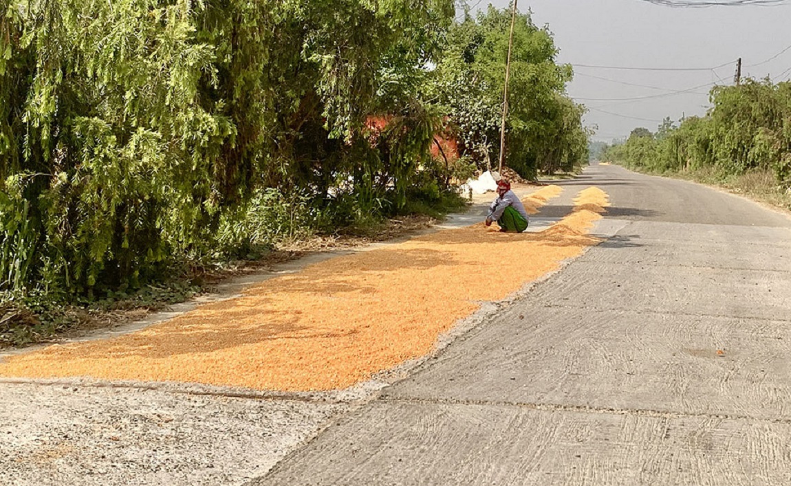 आजका तस्बिर- वैशाख २३