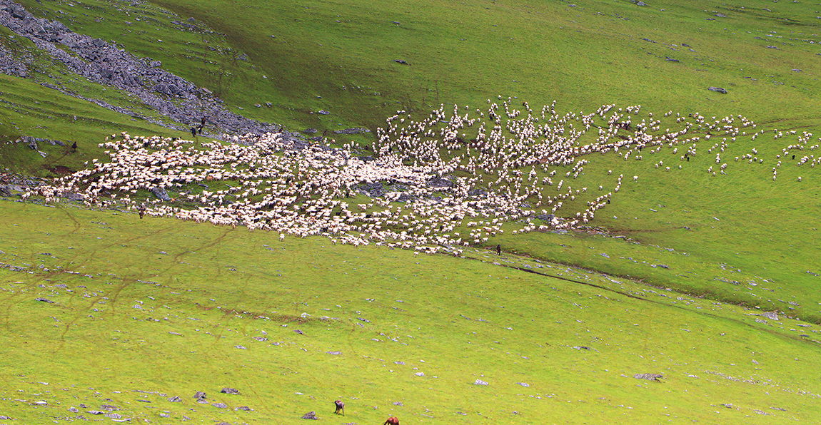 आजका तस्बिर- साउन १२