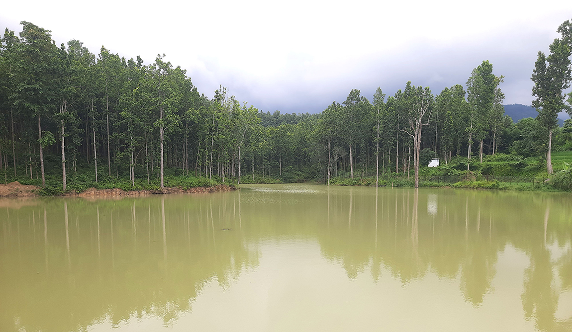 आजका तस्बिर-भदौ २