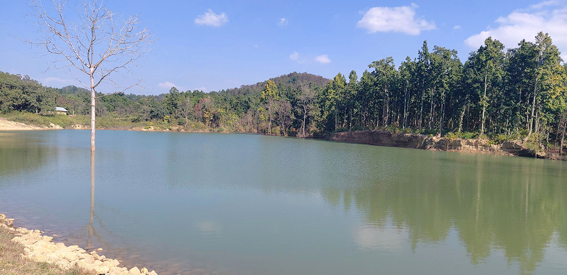 आजका तस्बिर- मंसिर १९