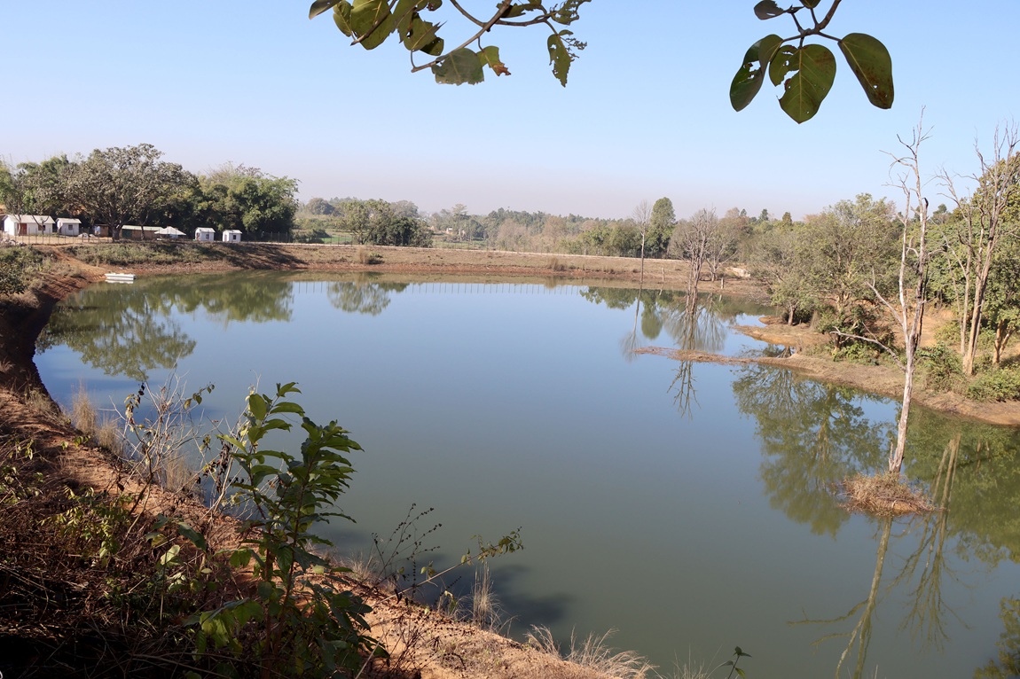 आजका तस्बिर- माघ २८