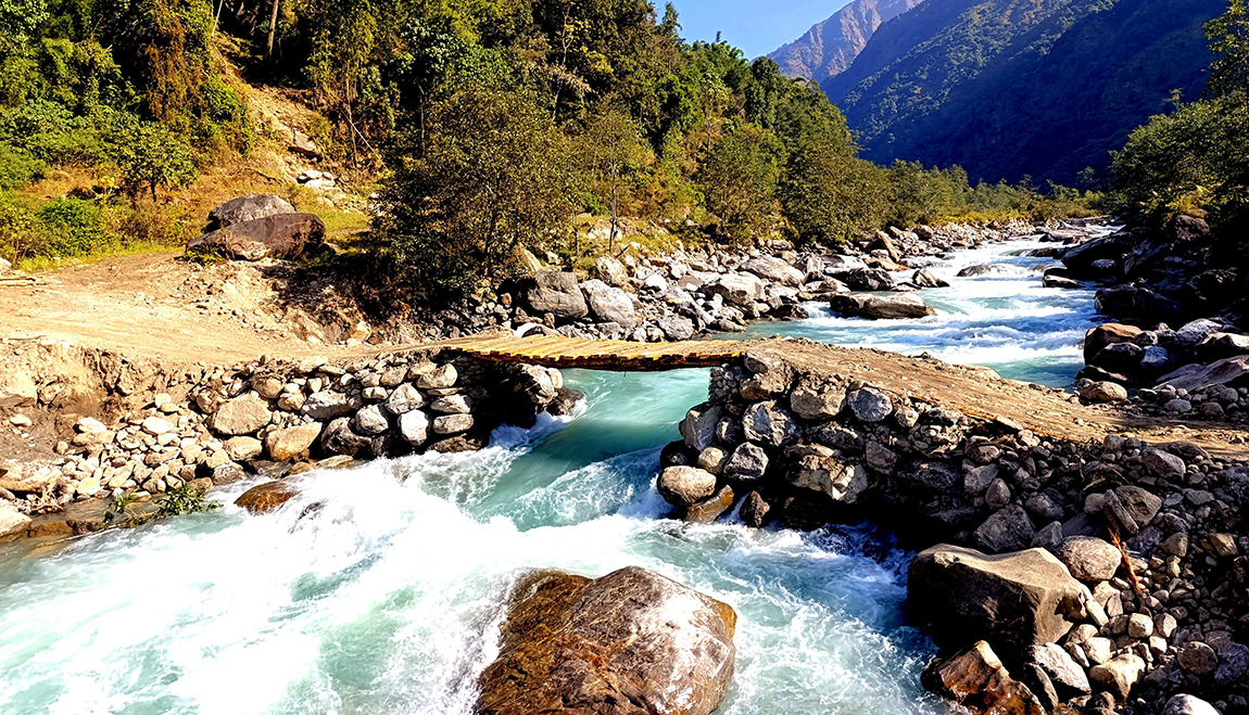 आजका तस्बिर-पुस ५