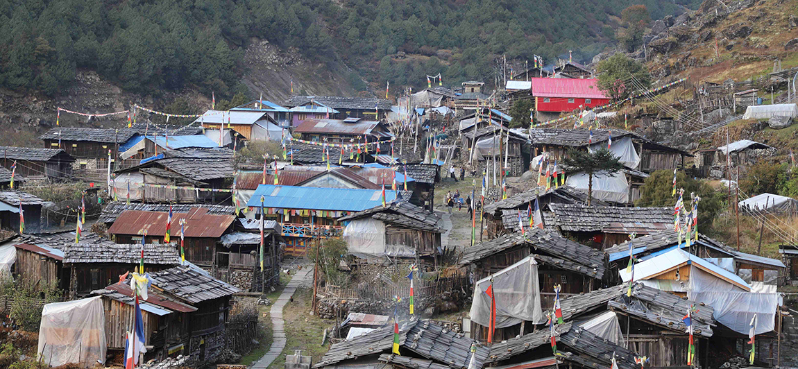 आजका तस्बिर- कात्तिक ११