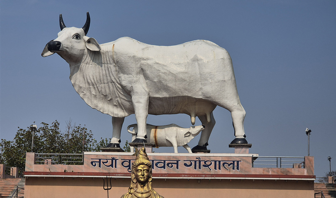 आजका तस्बिर- चैत ९