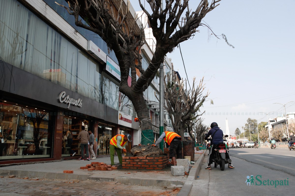 Durbar-Marg,-Footpath-expansion,-NPL-1120-ink-1733034807.jpeg