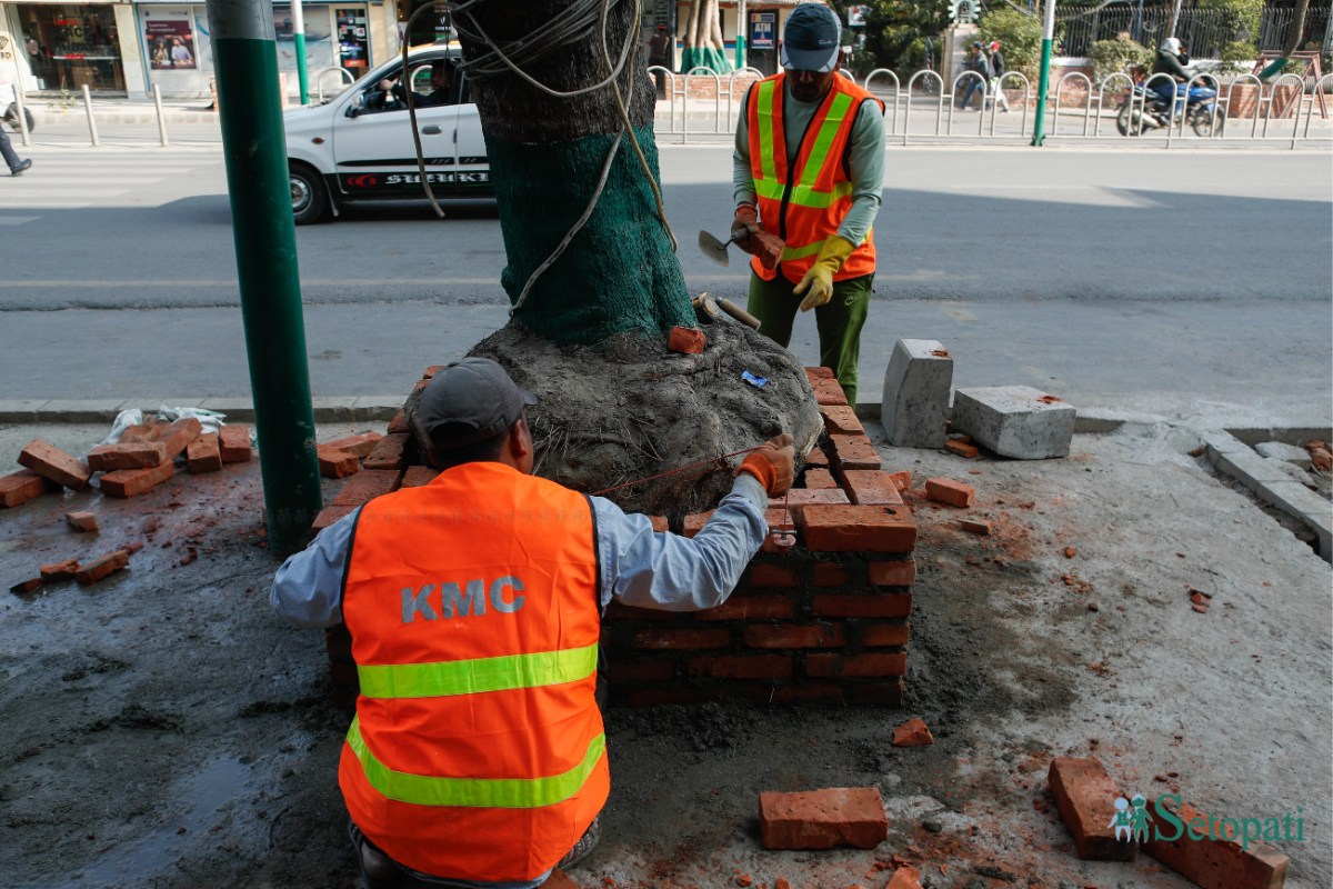 Durbar-Marg,-Footpath-expansion,-NPL-1123-ink-1733034808.jpeg