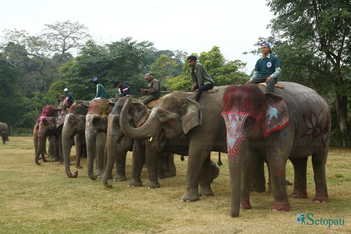 Elephant-festival-Sauraha-food_Nepal-Photo-Library1-ink-1735386928.jpeg