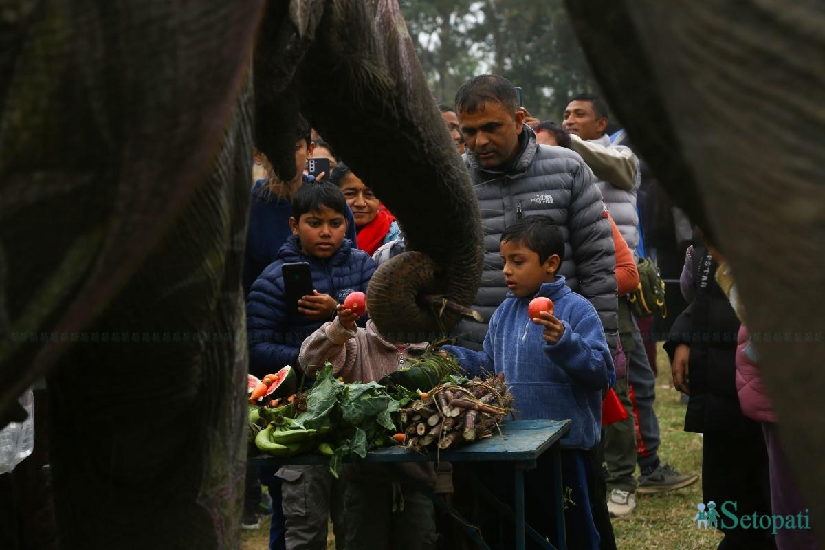 Elephant-festival-Sauraha-food_Nepal-Photo-Library11-ink-1735386931.jpeg