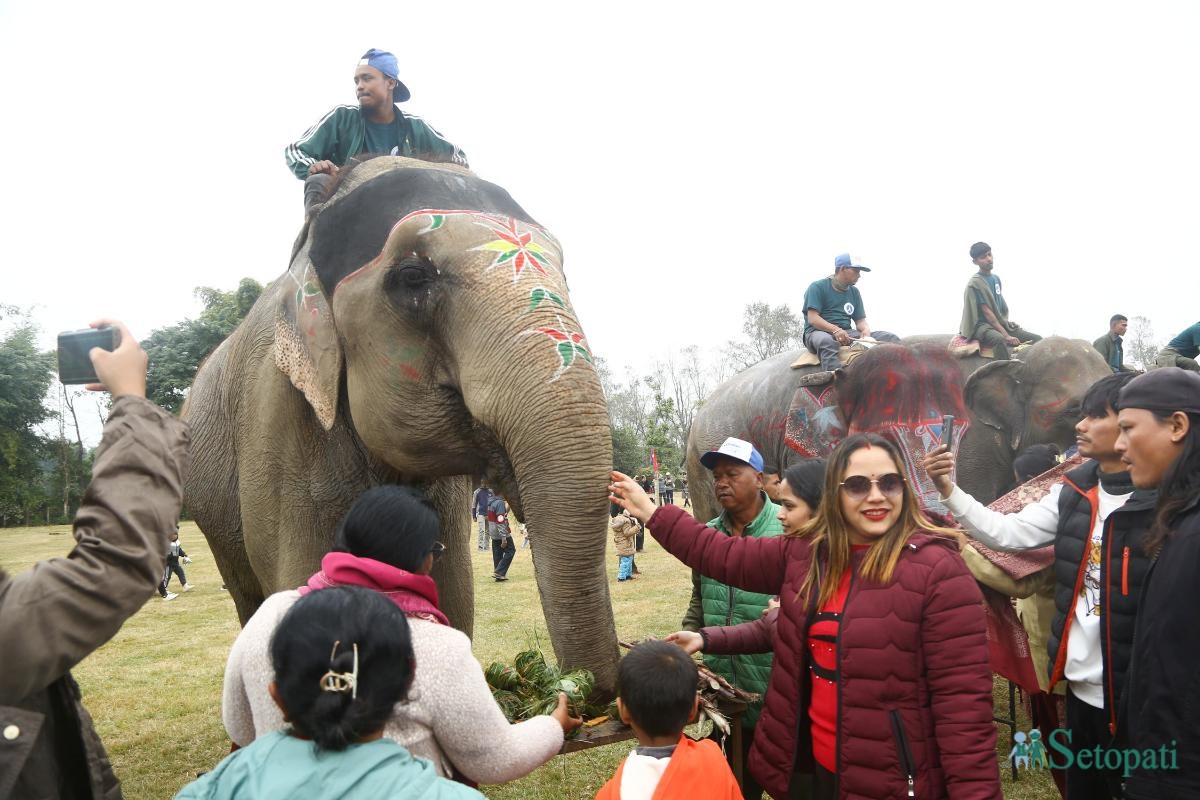 Elephant-festival-Sauraha-food_Nepal-Photo-Library13-ink-1735386931.jpeg