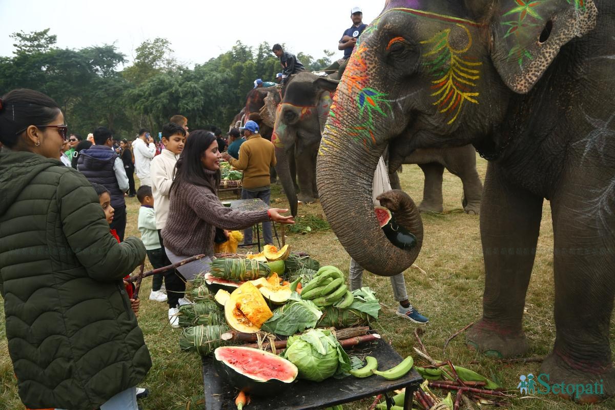 Elephant-festival-Sauraha-food_Nepal-Photo-Library14-ink-1735386931.jpeg