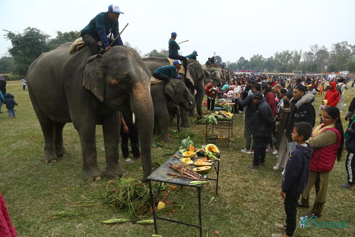 Elephant-festival-Sauraha-food_Nepal-Photo-Library15-ink-1735386932.jpeg