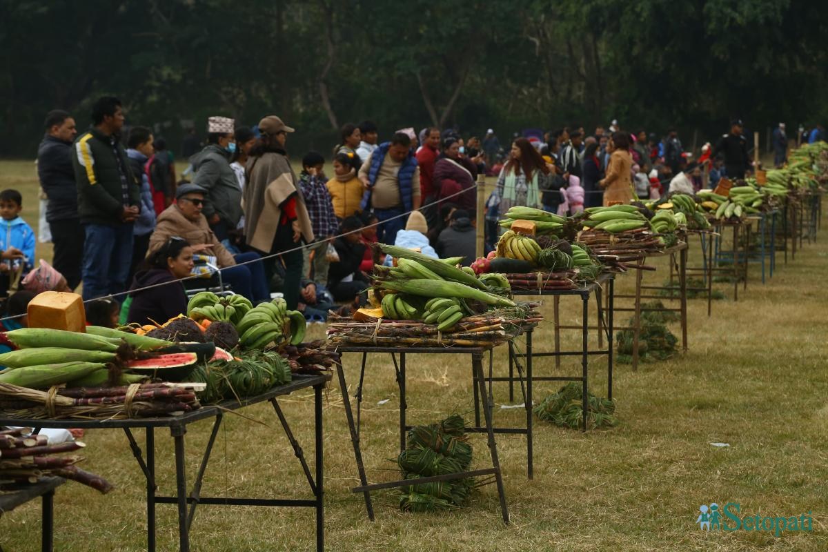 Elephant-festival-Sauraha-food_Nepal-Photo-Library2-ink-1735386928.jpeg