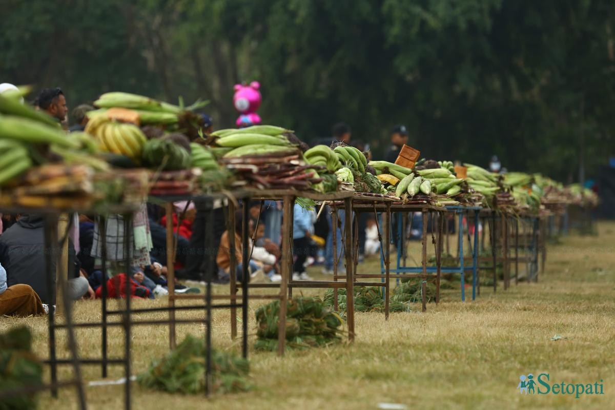 Elephant-festival-Sauraha-food_Nepal-Photo-Library5-ink-1735386929.jpeg