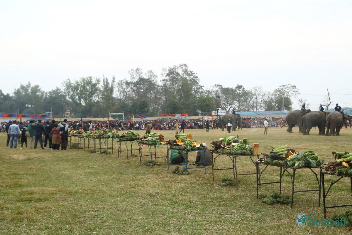 Elephant-festival-Sauraha-food_Nepal-Photo-Library6-ink-1735386929.jpeg