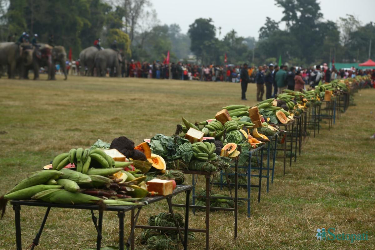 Elephant-festival-Sauraha-food_Nepal-Photo-Library7-ink-1735386930.jpeg