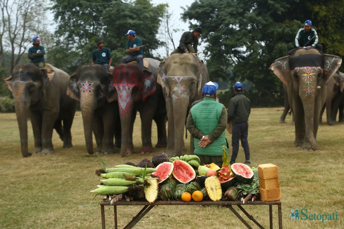 Elephant-festival-Sauraha-food_Nepal-Photo-Library8-ink-1735386930.jpeg