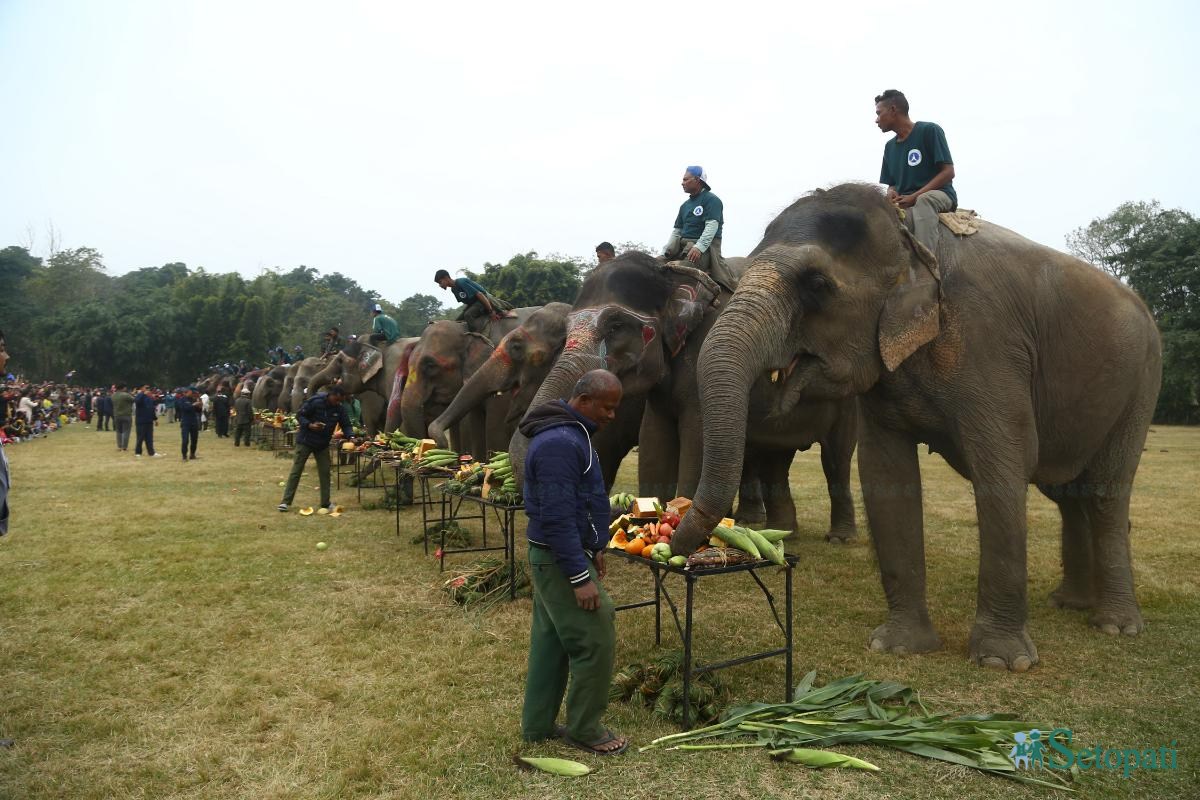 Elephant-festival-Sauraha-food_Nepal-Photo-Library9-ink-1735386930.jpeg