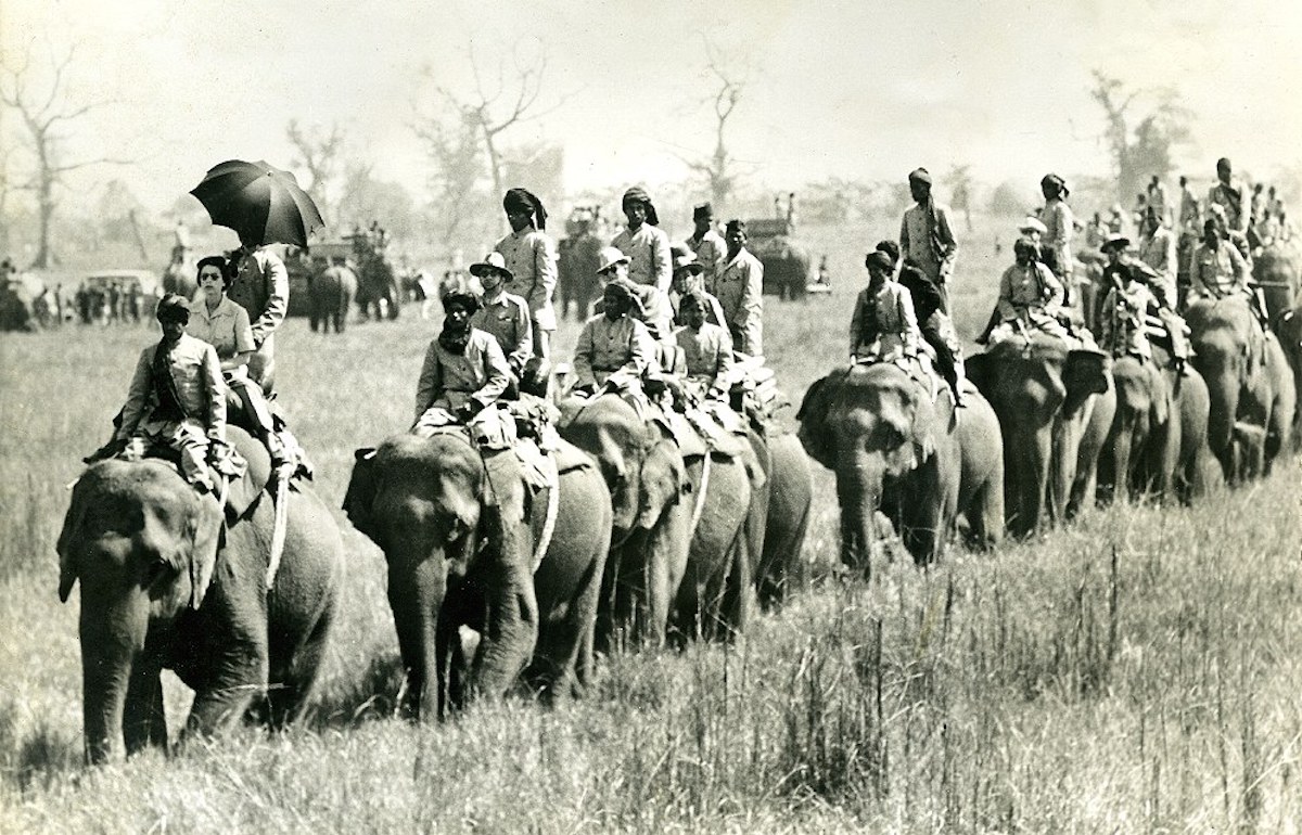 ब्रिटिस महारानी एलिजाबेथ चितवन जंगल भ्रमणमा।