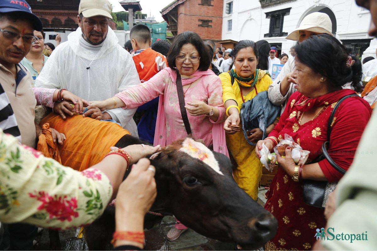 Gaijatra-2081-basantapur-(18)-ink-1724131037.jpeg