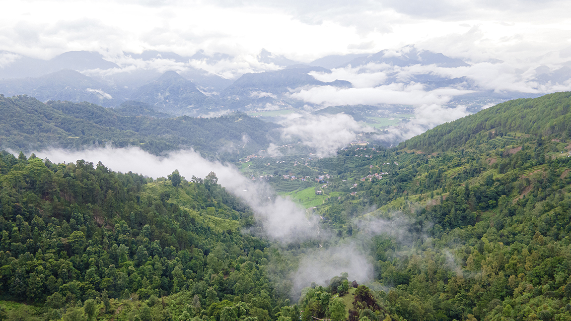 आजका तस्बिर- भदौ ७