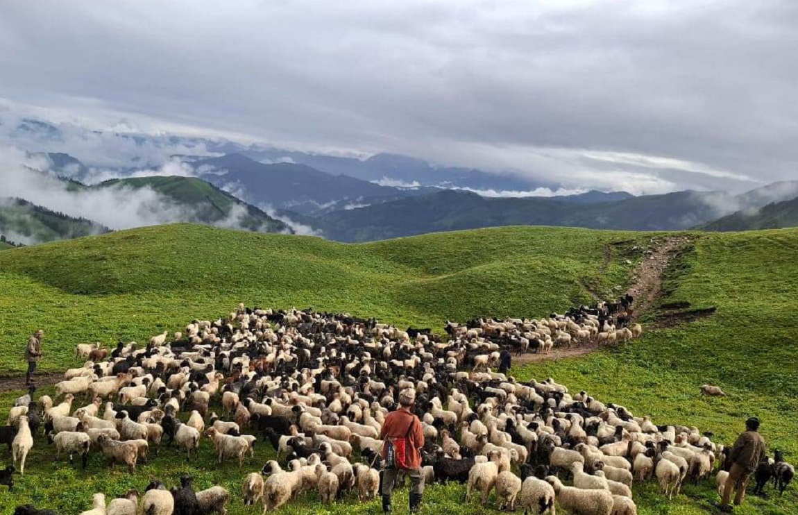 आजका तस्बिर- असार ३०