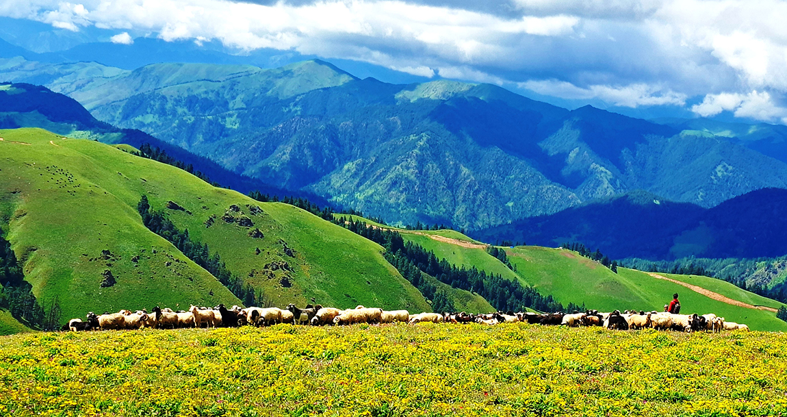 आजका तस्बिर- साउन २७