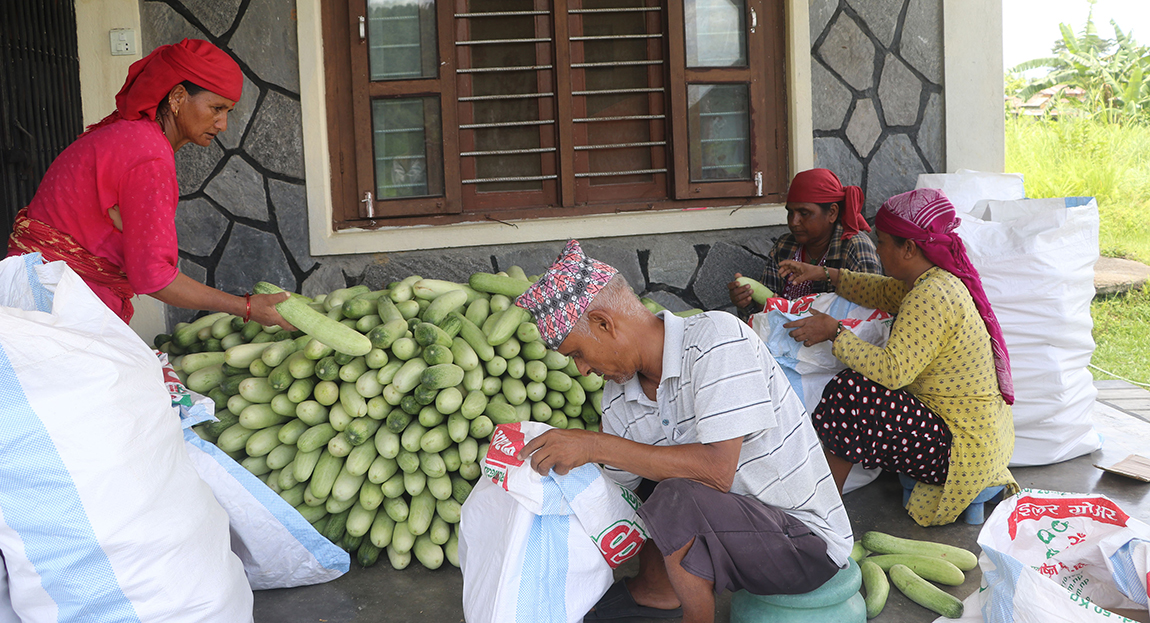 आजका तस्बिर- साउन ७