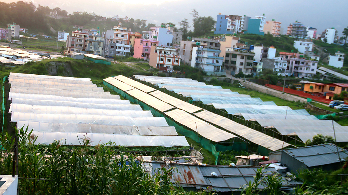 आजका तस्बिर- जेठ २६