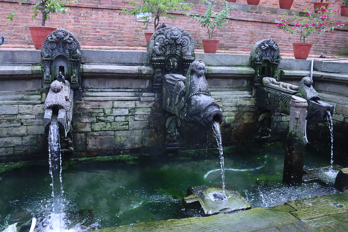 आजका तस्बिर- भदौ १९