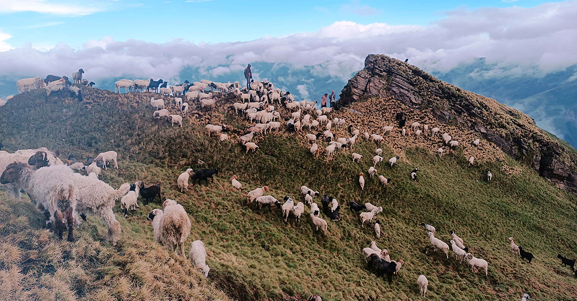 आजका तस्बिर- असार २९