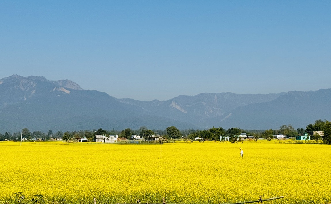 आजका तस्बिर- मंसिर २८