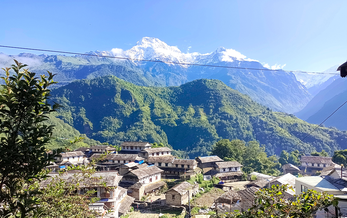 आजका तस्बिर- असार १२