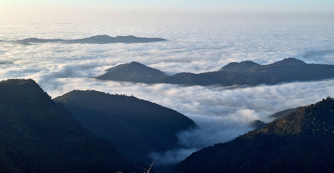 आजका तस्बिर- पुस २४