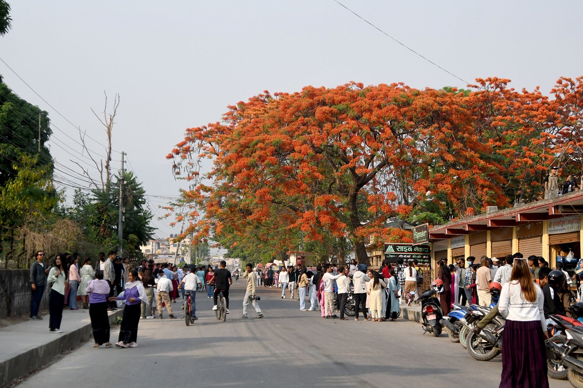 आजका तस्बिर- वैशाख २३