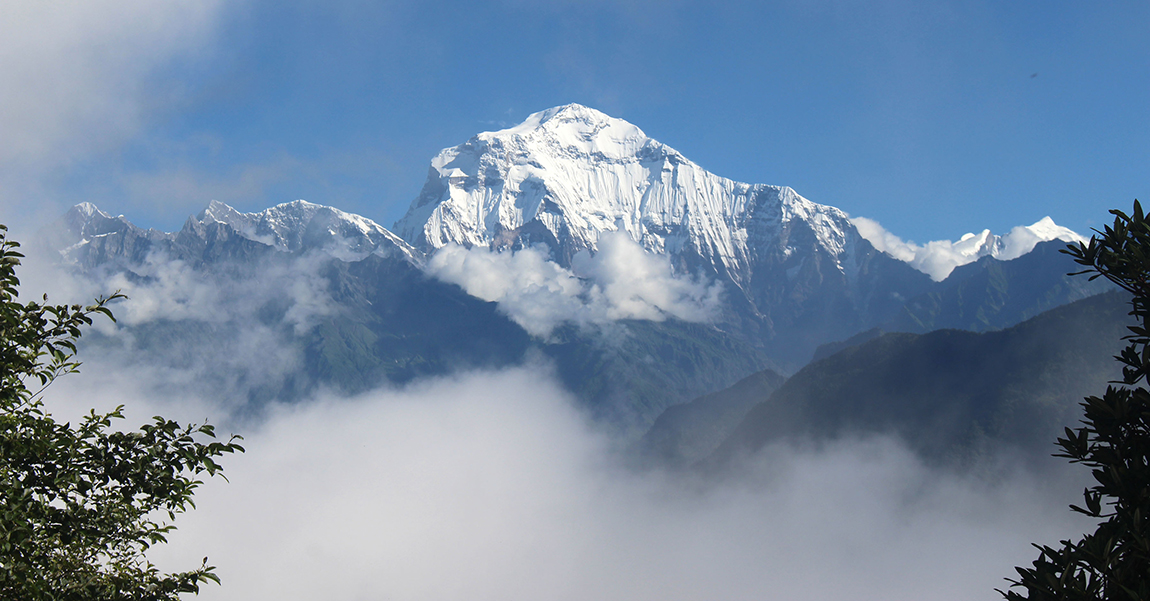 आजका तस्बिर-भदौ २