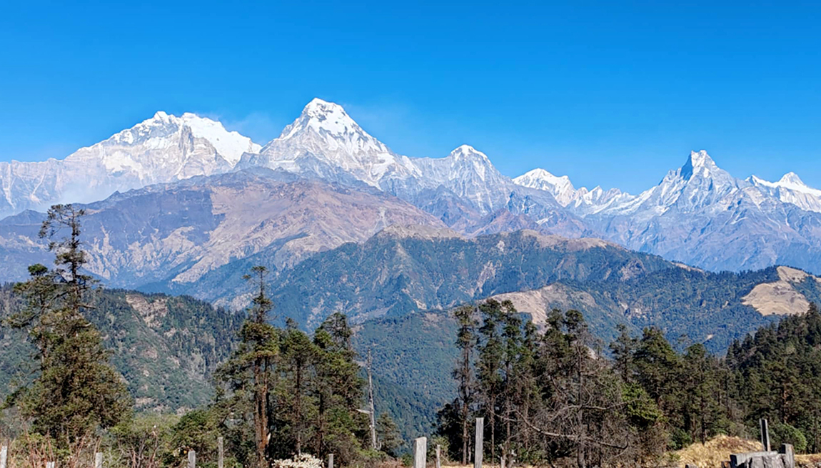 आजका तस्बिर- मंसिर २६