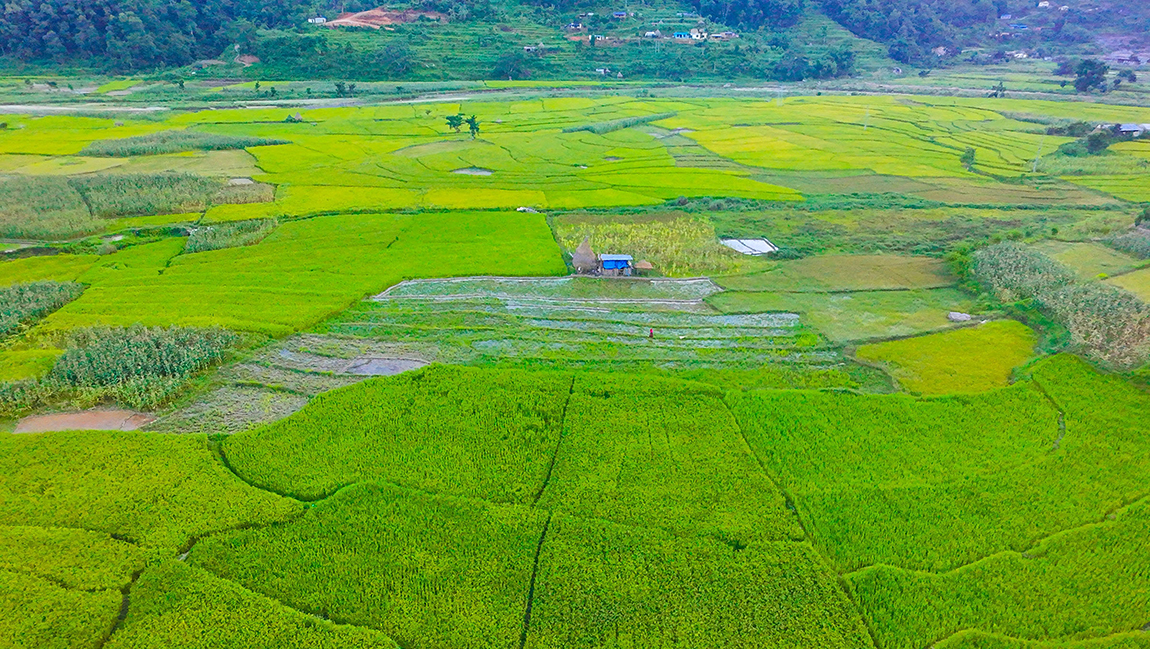 आजका तस्बिर- जेठ २६