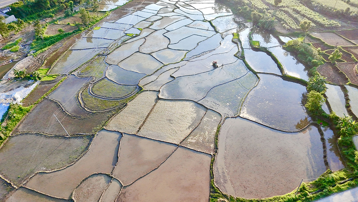 आजका तस्बिर- असार १३