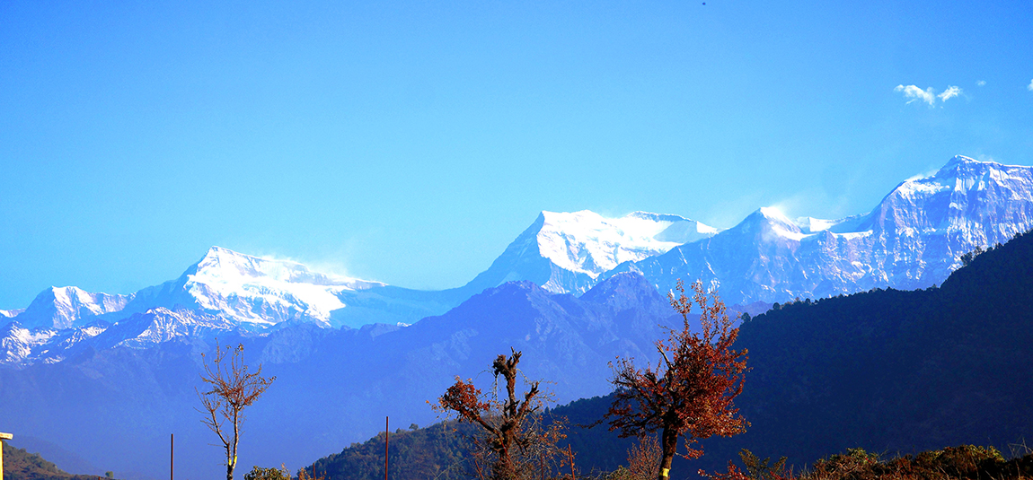 आजका तस्बिर- फागुन २२