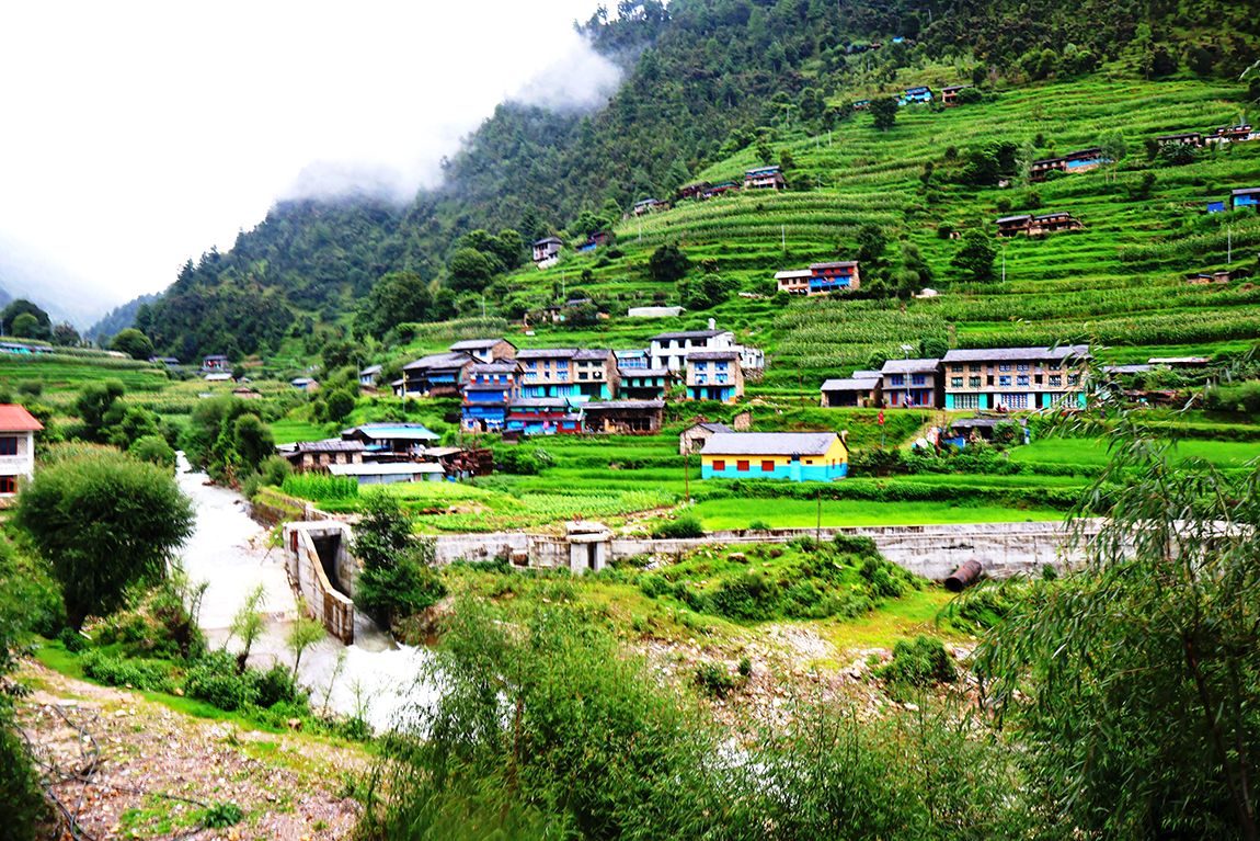 आजका तस्बिर- भदौ ३