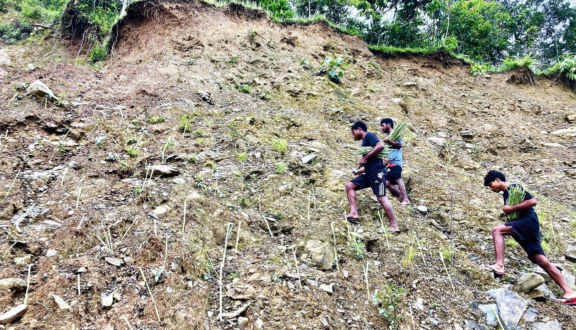 आजका तस्बिर- भदौ ८