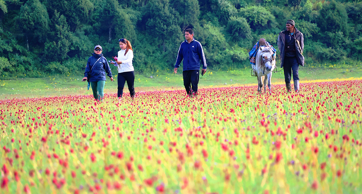 आजका तस्बिर- साउन ३