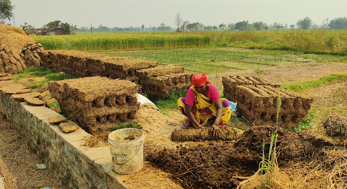 आजका तस्बिर- फागुन २७