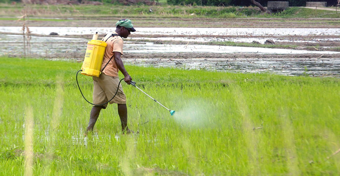 आजका तस्बिर- असार २३