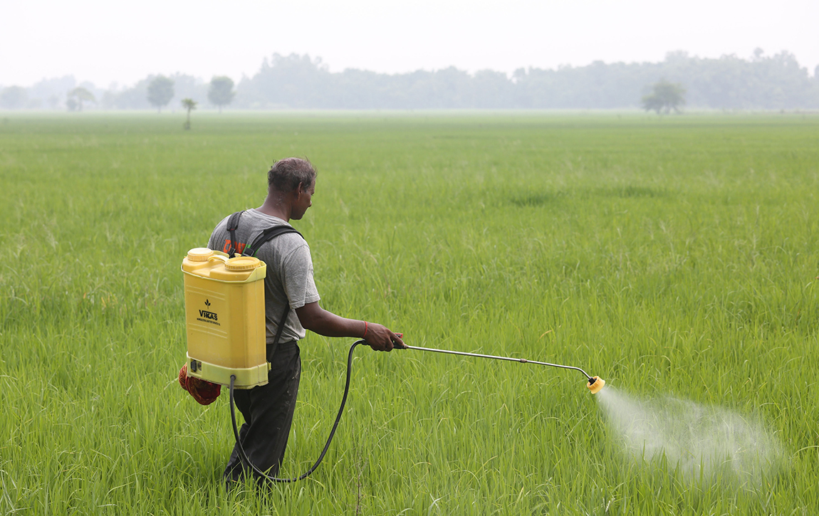 आजका तस्बिर-साउन २६
